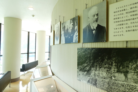2階は桑島化石壁とライン博士の展示