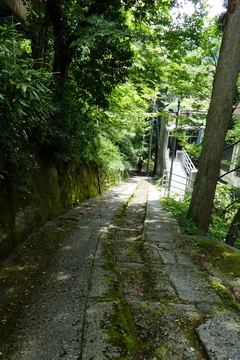 風情のある神社のような道。中央だけ階段？