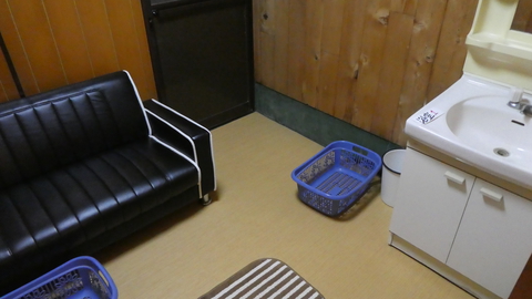 脱衣所の雰囲気。コンパクトにまとまっている