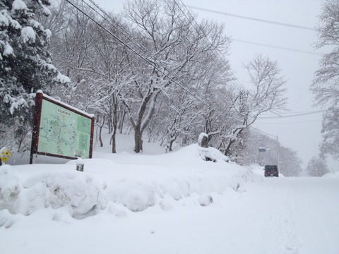スタート地点の医王山スポーツセンター横