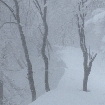 雪庇足下は空中の場合も
