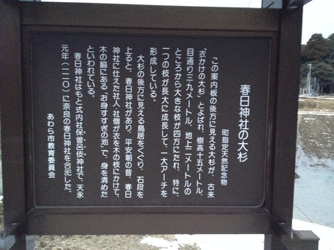 案内板