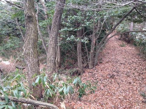 分岐を左
