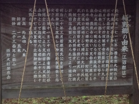 案内