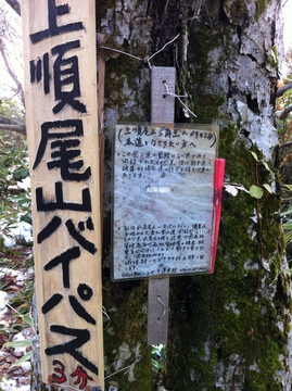 上順尾山分岐案内 本線派と三角点派