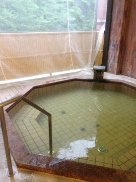 景色が良い露天風呂。夏場は虫除けネット