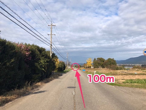 100M