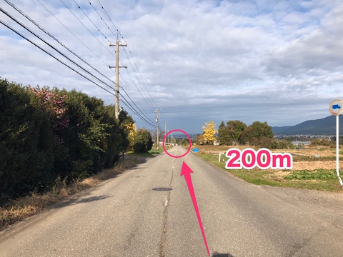 200M