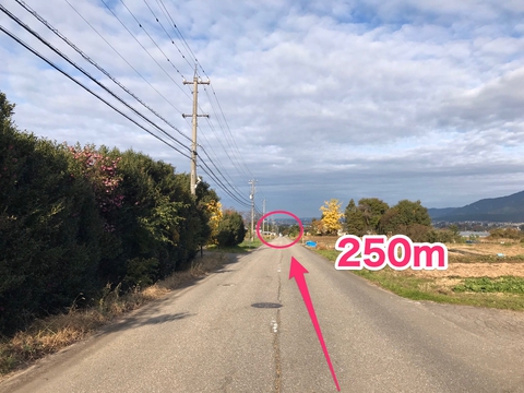 250M