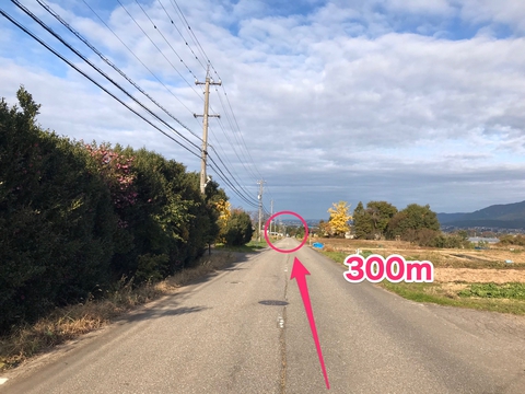300M