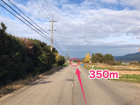 350M
