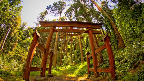 赤蔵神社本殿鳥居