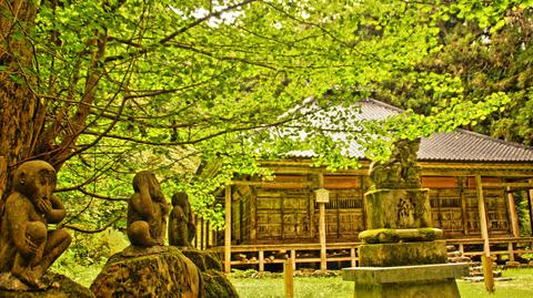 拝殿の裏に展望台への遊歩道あり