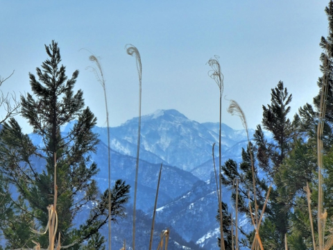 大門山赤摩木古山