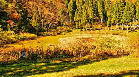 小池到着。シーズンは駐車場が満車に
