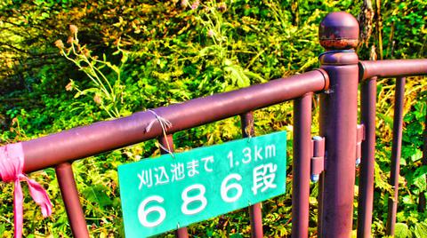 石段コースは686段の階段