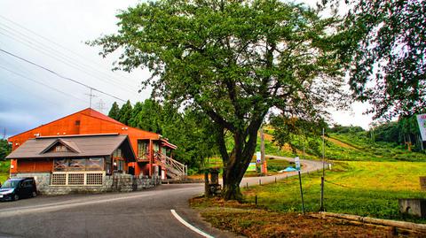 スキー場内を上っていく。自動車可能