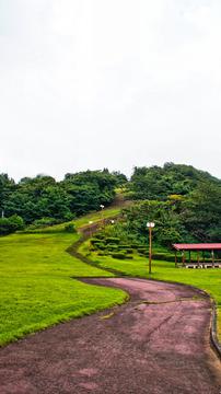 ここからは徒歩で