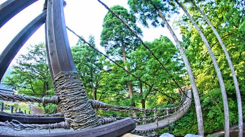 長さ44m高さ12mのかずら橋