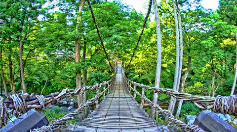 踏み板は広めでスリル満点