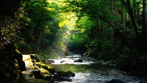 池田町ふれあい遊歩道ぞいの足羽川渓流