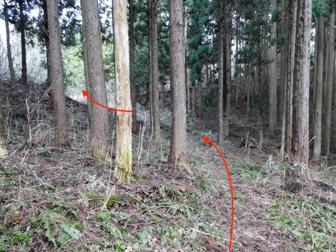 林道北袋線の舗道はすぐそこ