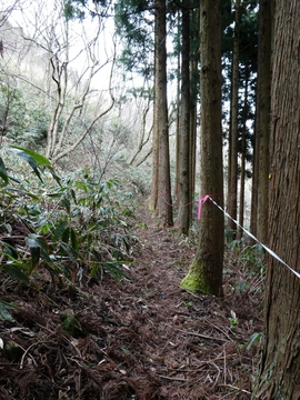 この先は右崖の危険ゾーン