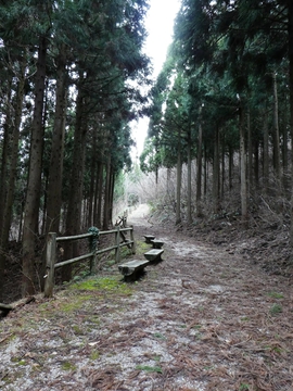 苔むしたベンチと折れた柵