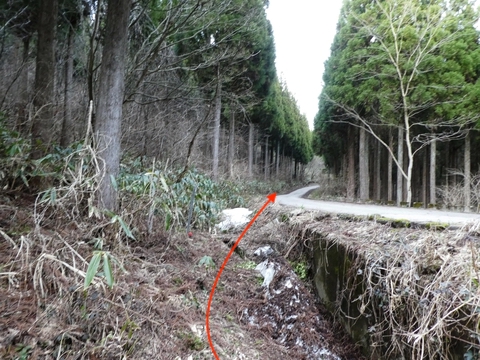 舗装路にでてほっとする。左へ