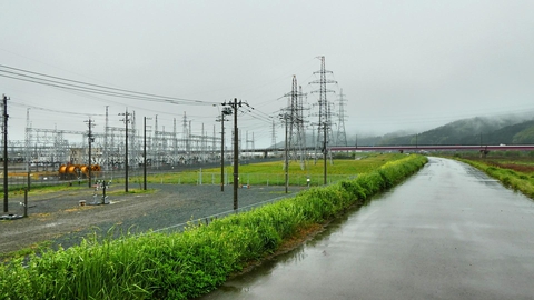 九頭竜川の堤防上の道から見える