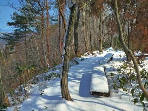 見晴らしベンチ 金沢市内方向が切り開かれている(写真は残雪期)