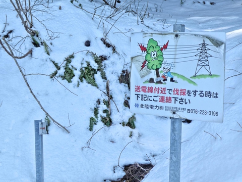 ユニークな採伐禁止標識 鉄塔は関電風？