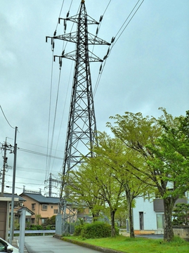 橋南線1番