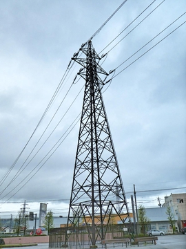 南福井花堂線 1番