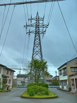 南福井連絡線31番