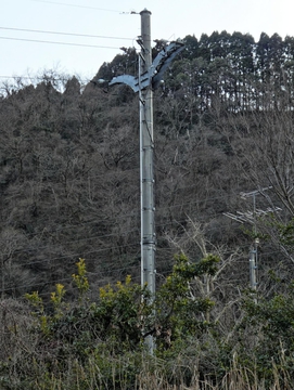 石川では珍しいモノポールに接続
