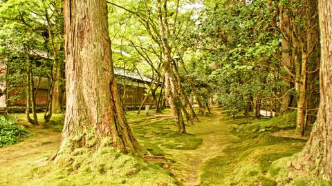 那谷寺庫裏庭園