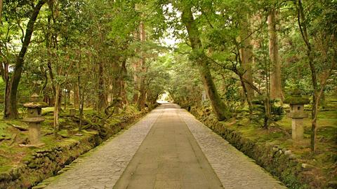 ほの暗い参道