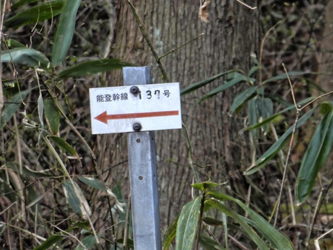 137番への道は行き止まりなので今回はパス