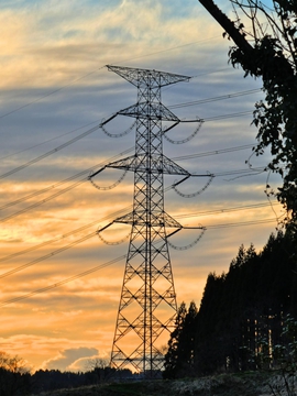 能登幹線141番(写真は夕方)
