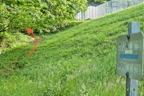 新敦賀変電所南側への巡視路発見