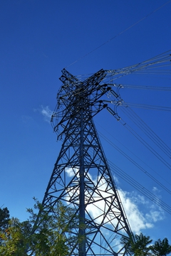 南条新武生線1番