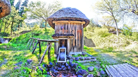 となりのカツタリ小屋