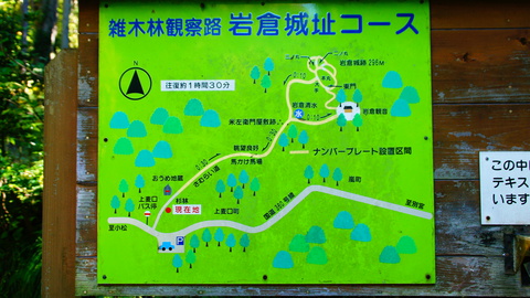 雑種林観察路岩倉城址コース図