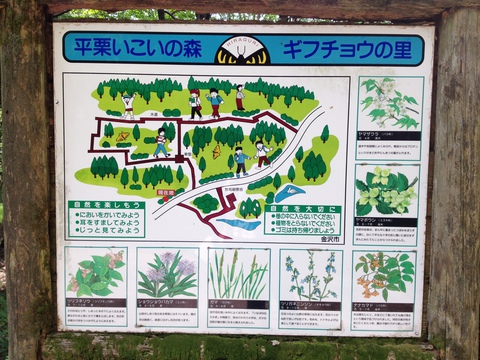 野鳥観察舎周辺案内図