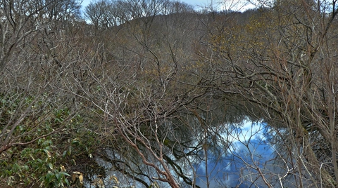 林の中の「さしおの池」空がが映り込んで綺麗