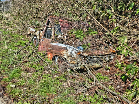 いい感じに朽ちたレトロカー