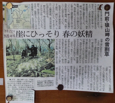 切り抜き。春の妖精