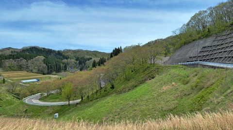 登ってきた道が見渡せる