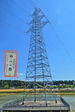 シングルテーパーの三角オフセット腕金の北陸幹線114番。なんと関西電力で昭和4年開通